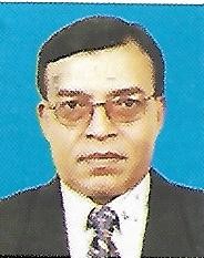 Ali M Enamul Haque