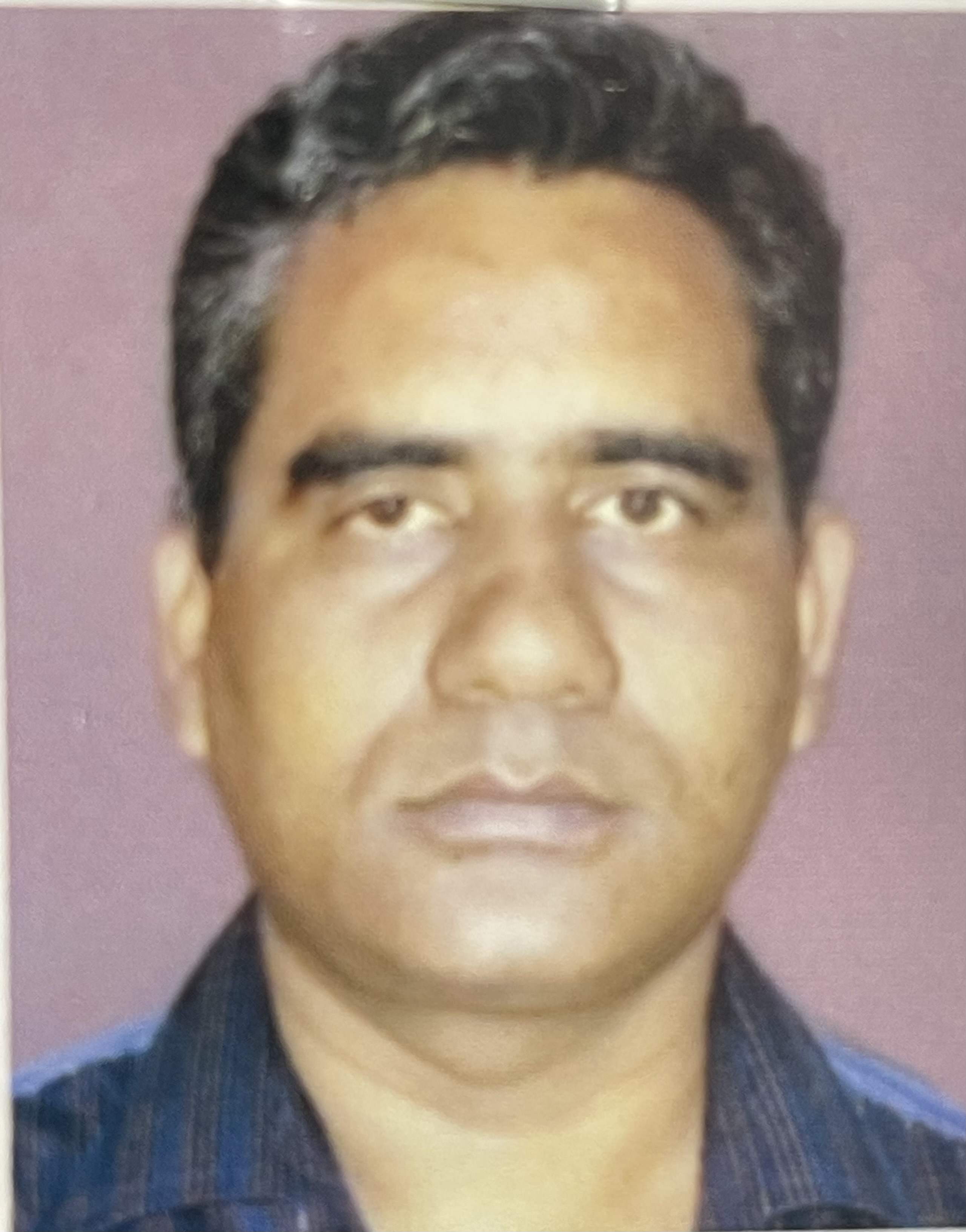 Bikash Ranjan Kar