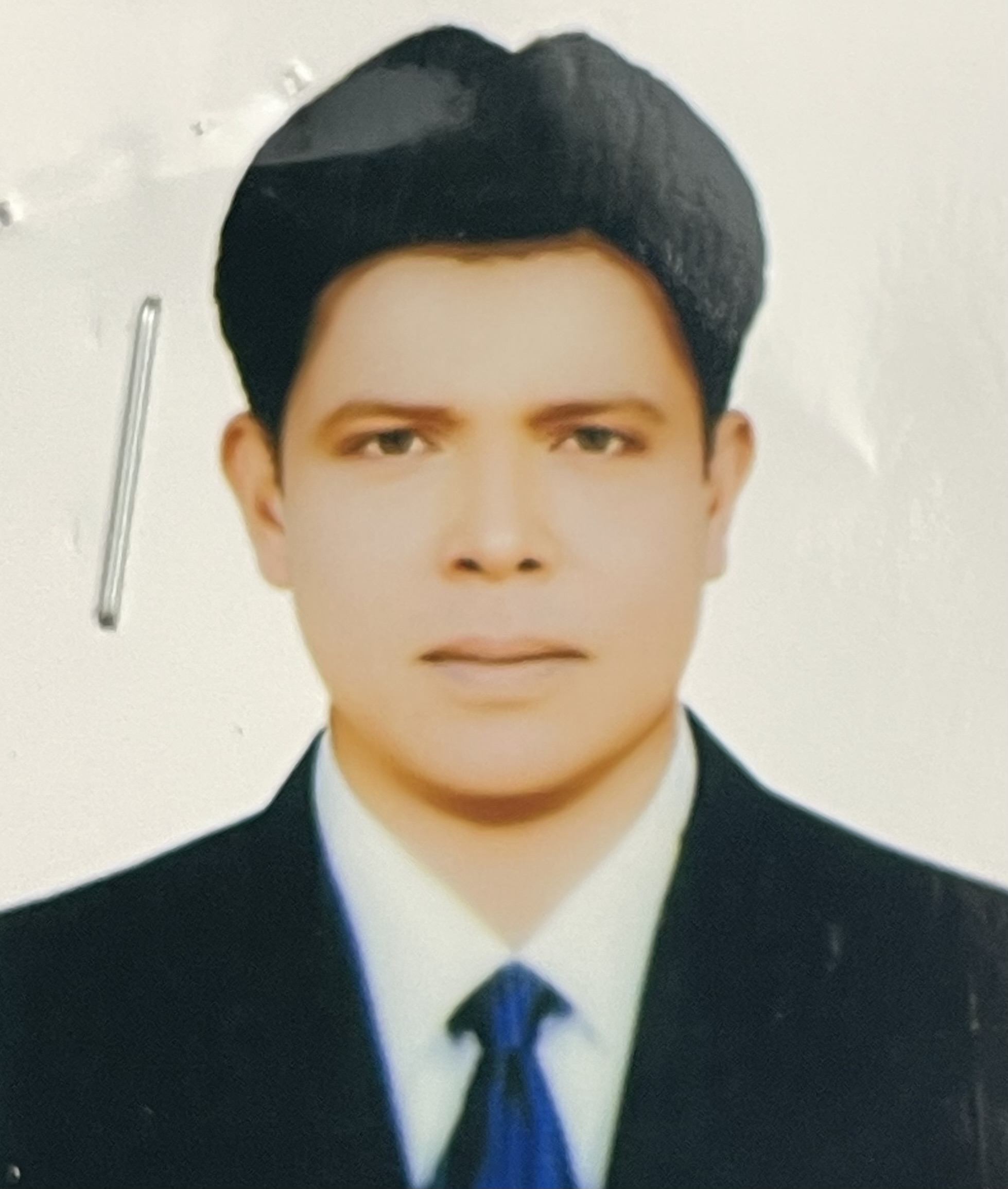 Md Shamim Hossain