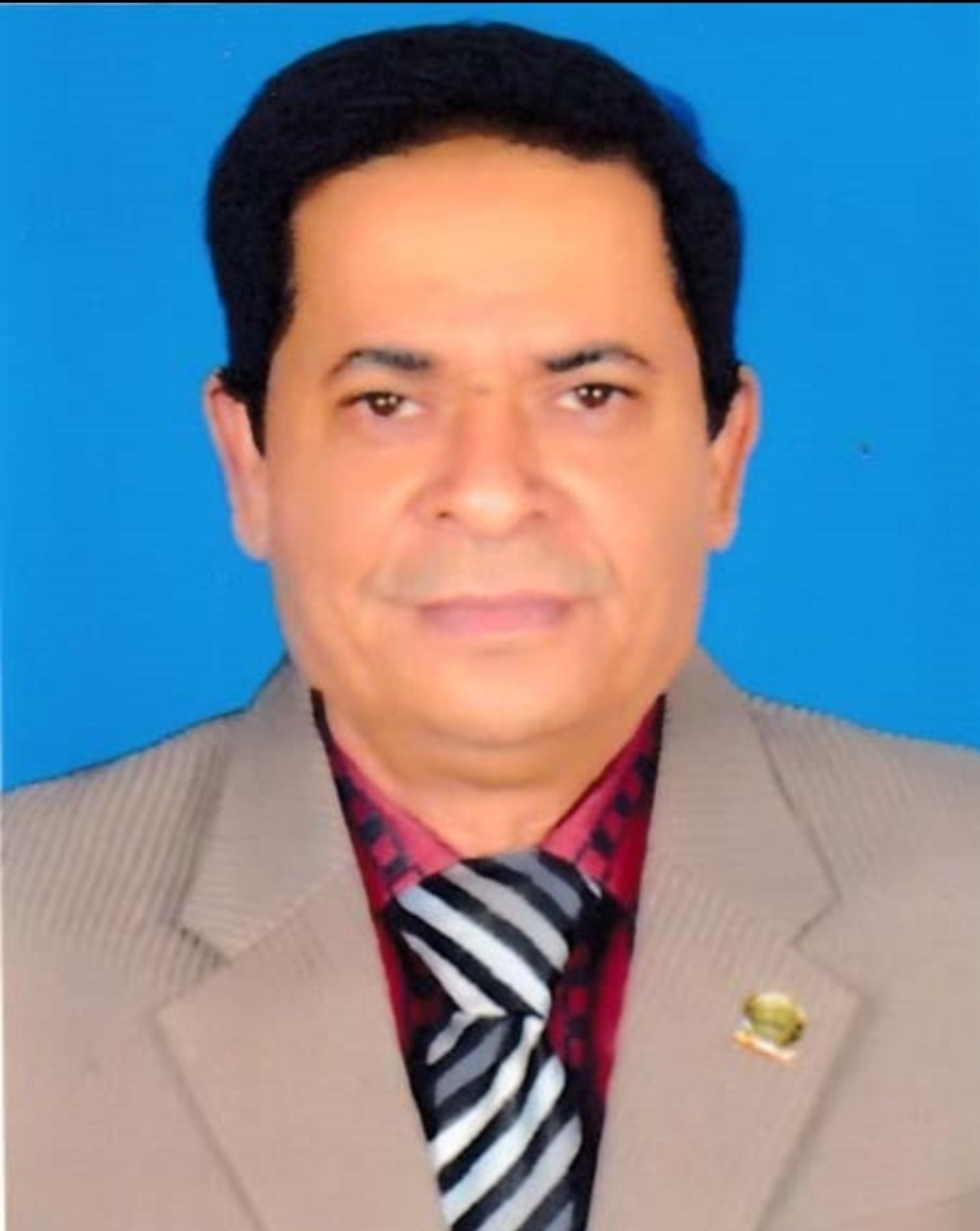 Md Anarul Hoque Pramanik