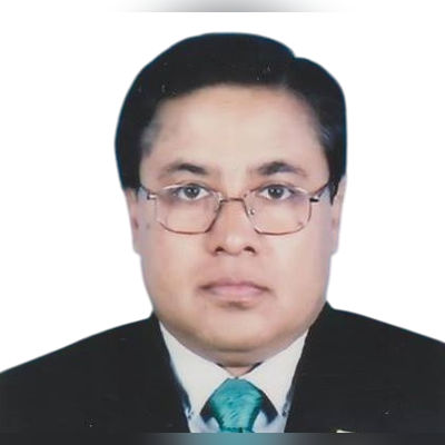 A. B. M. HAMIDUL HAQUE