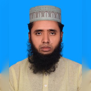 MD. SALINUR RAHMAN